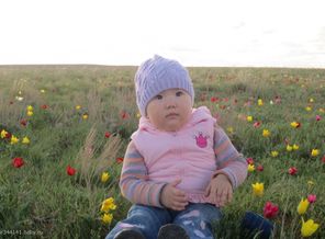 Изображение 004