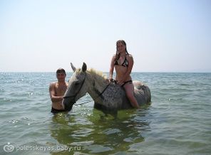 Рванули на юг