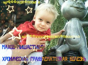 Мишастик , август 2013