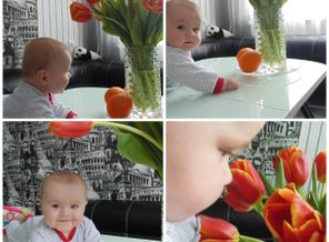 collage
