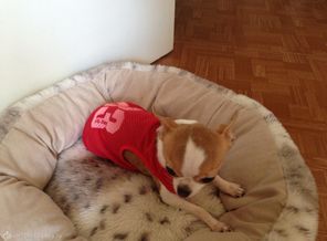 image1415215067.518443