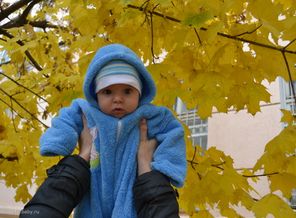 первая осень