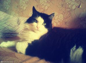 Мой друг детства Матвей 12 лет уже:-)