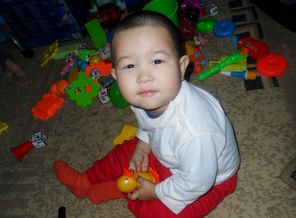 SAM_3389