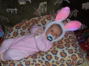 SAM_0103