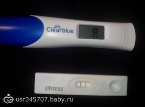 Начало новой жизни