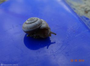 DSC00076