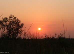 IMG_0867