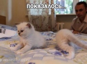 4GI_ILXyACg