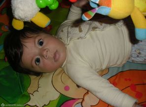 CIMG6393