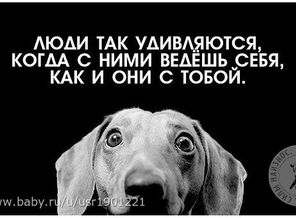 IMG_20150329_175206_24