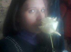 новый год 2014