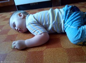 IMG_20150520_122741