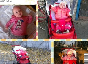 Новая папка (2)2