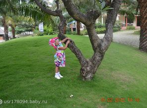 getImage (12)