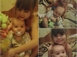 collage_photocat8
