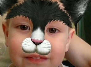QN6XRaLoyeM