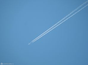 DSCN1266