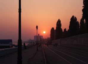 IMG_6135