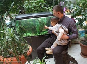 IMG_20150103_213111_1