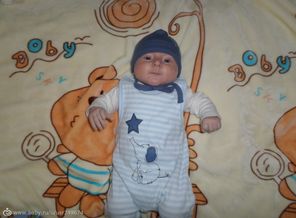 SAM_3838