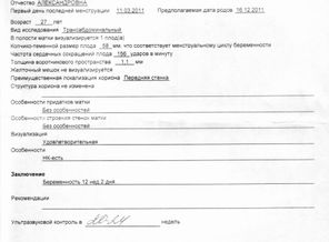 12 недель