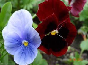 DSC00061