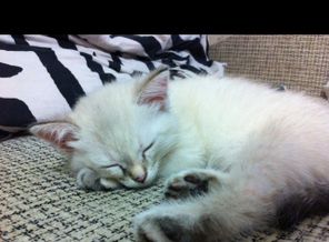 image1410359347.971869