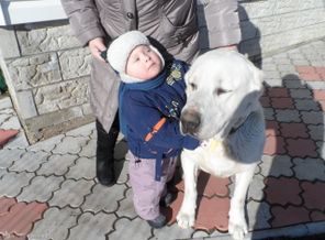 SAM_1204