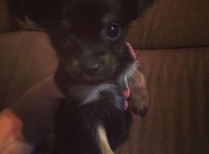 image1423391956.597993