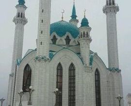image (7)