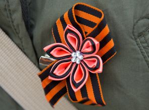 1DSC_3180