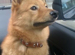 КФЛ