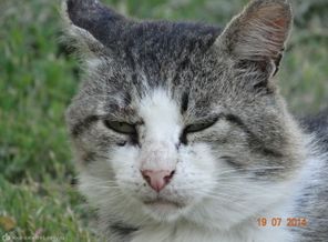 DSC00010