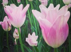 IMG_20140705_234549