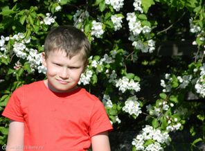 IMG_1347