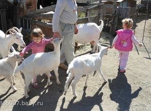 В деревне у дедушки!