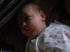 SAM_0855