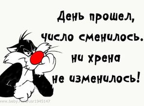 IMG_20150523_084956_27