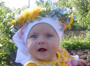 Одуванчиковое чудо)