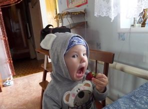 SAM_0844