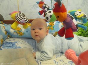 IMG_0830