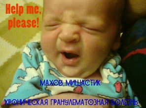 Мишастик , 2011