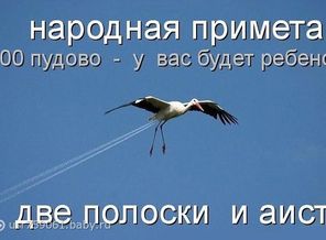 gMCjYGFbALE