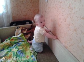 исследуем диван