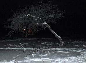 DSC_0002