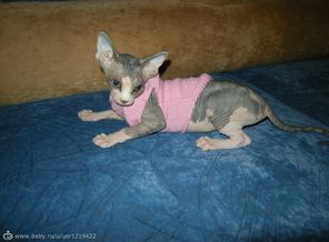 IMG_20150421_081427_41