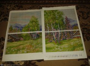 IMG_20150620_002911