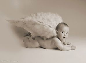 [wallcoo_com]_Black_and_white_photo_of_newborn baby with big feathers_ISPC006057