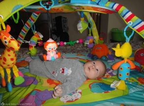 DSC01594